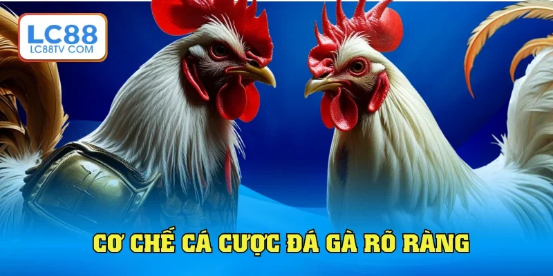Cơ chế cá cược tại sảnh rõ ràng